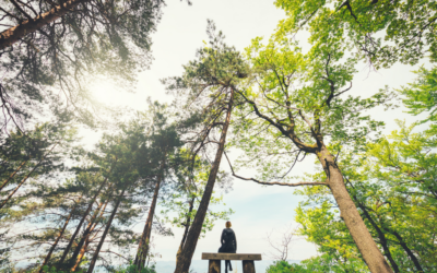 The Secret to Maintaining Sanity in a Hyper-Connected World