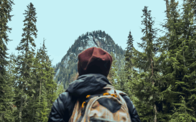 Fostering Commitment to Goals and Accomplishing Goals When Experiencing Avoidance